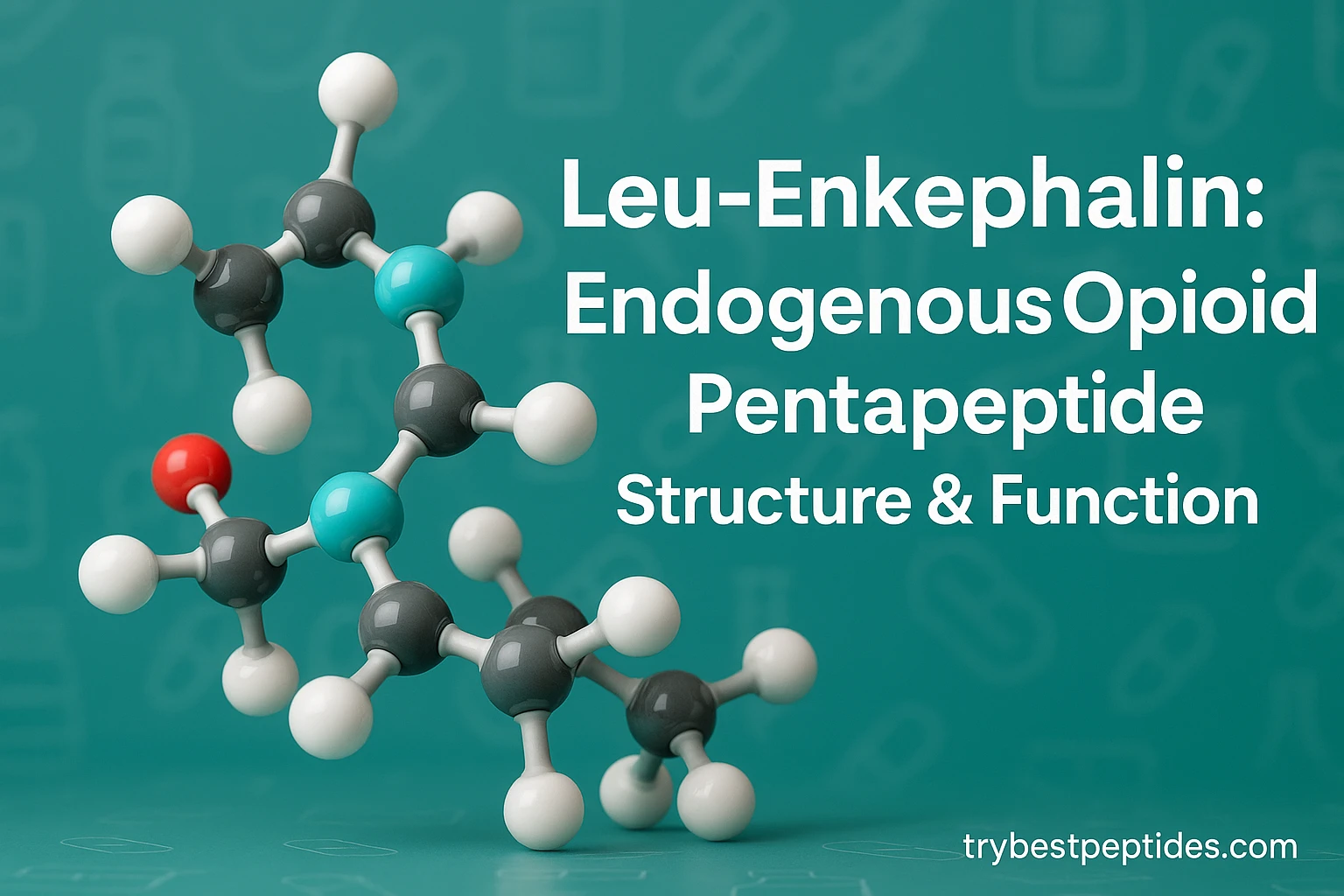 Leu Enkephalin